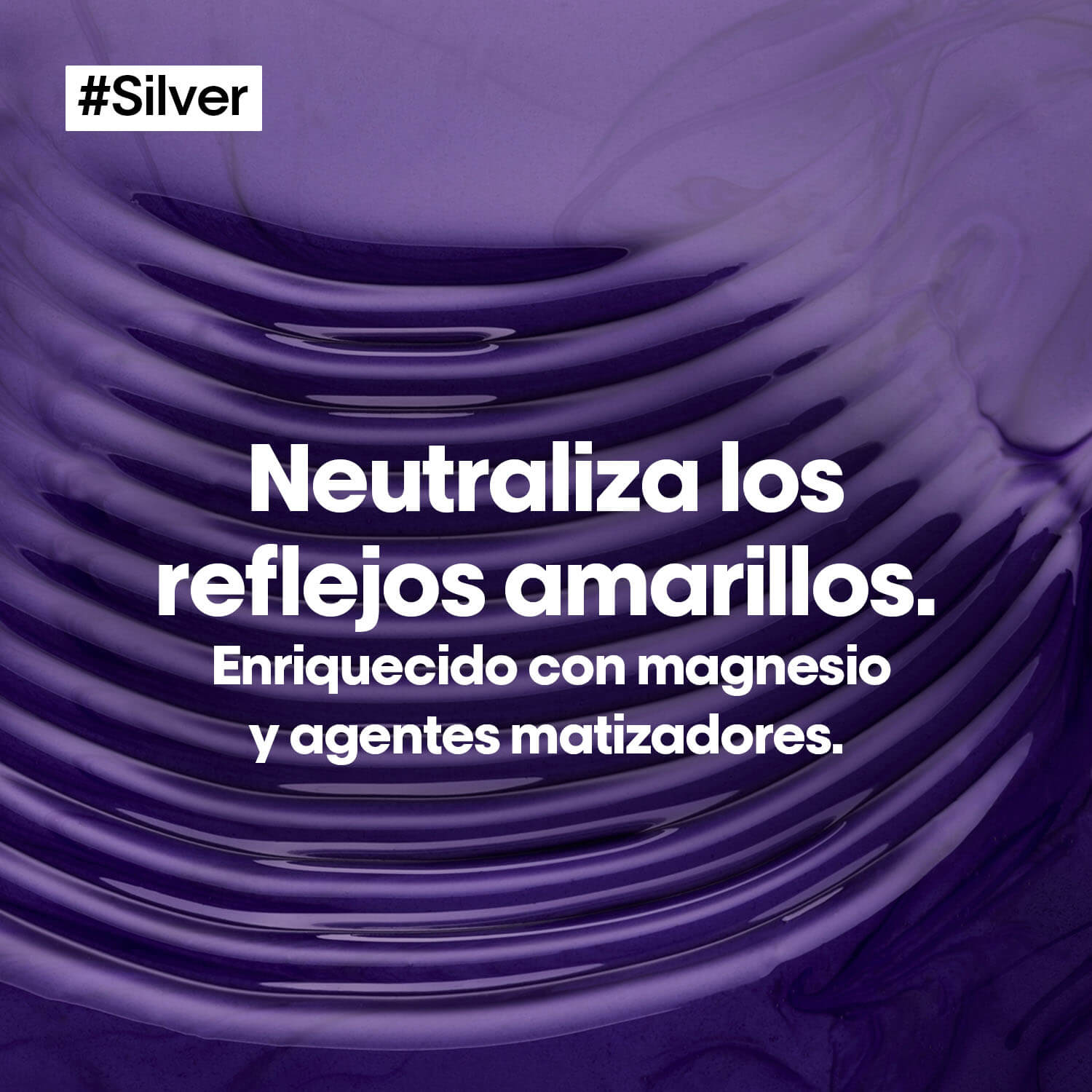 SHAMPOO SILVER (SHAMPOO PARA CABELLO GRIS, PLATINADO O CON CANAS)